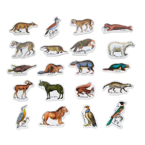 Magnets zoologiques de Buffon - Muséum national d'Histoire naturelle jeu magnétiques magnets REVENDEUR VILAC magasin de jouets en bois à st pierre 97410 Livraison LA REUNION 974