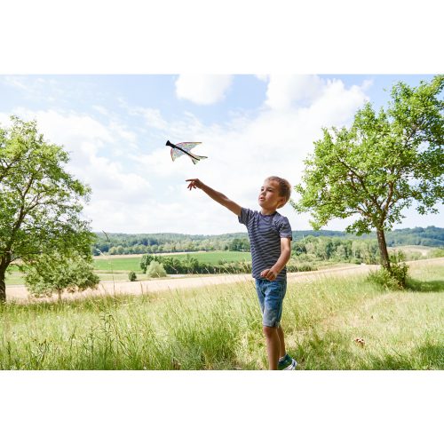 Fronde-oiseau TERRA KIDS HABA