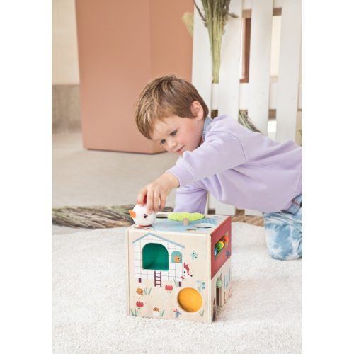 Cube d'activité en bois ferme jeu de motricité et de dextérité revendeur lilliputiens magasin de jouets en bois et montessori à st pierre 97410 livraison la réunion 974