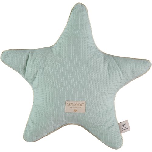 Coussin ARISTOTE AQUA