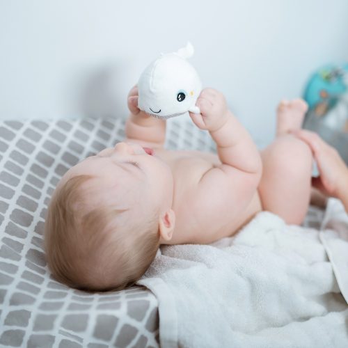 Peluche lumineuse SHAKIES BALEINE petite veilleuse pour bébé et enfant livraison sur toute l'ile magasin bébé et enfant saint pierre ile de la réunion