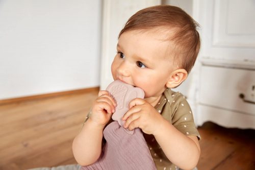 Doudou Anneau de dentition en caoutchouc naturel PAPILLON