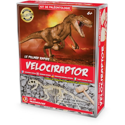 Kit d'archéologie VELOCIRAPTOR magasin jouet original saint pierre de la réunion