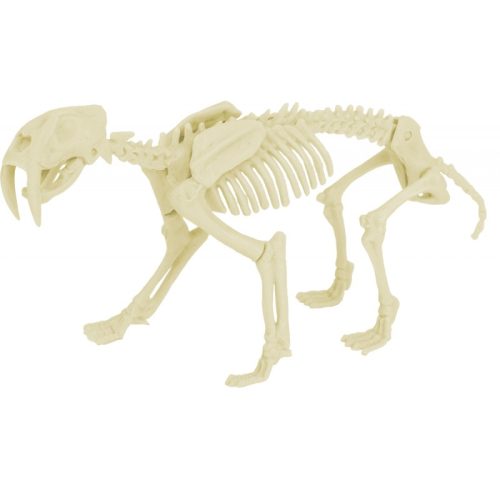 Kit d'archéologie SMILODON magasin jouet original saint pierre de la réunion