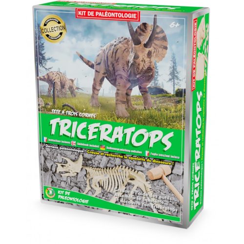 Kit d'archéologie TRICERATOPS magasin jouet original saint pierre de la réunion