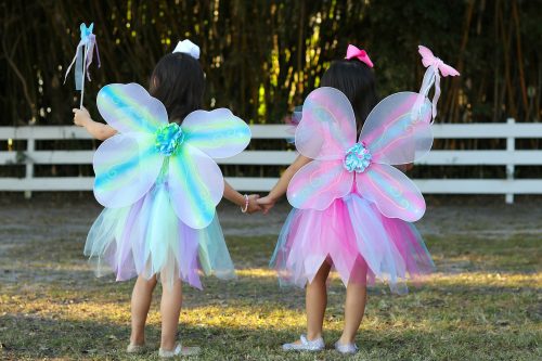 Robe papillon avec ailes et baguette magique déguisement enfant magasin de jouet enfant déguisement enfant saint pierre ile de le Reunion 974 97410