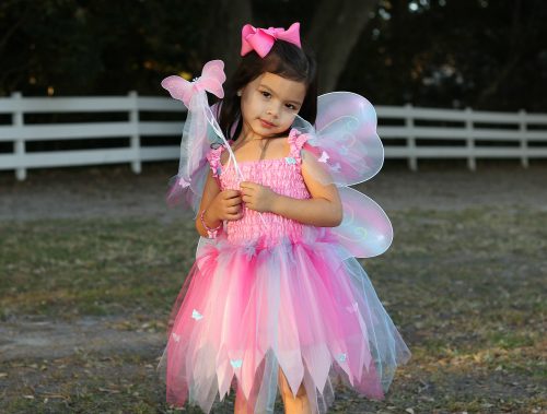 Robe papillon avec ailes et baguette magique déguisement enfant magasin de jouet enfant déguisement enfant saint pierre ile de le Reunion 974 97410