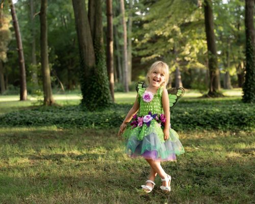 Robe et Serre-tête FÉE PAPILLON VERT déguisement enfant magasin de jouet enfant déguisement enfant saint pierre ile de le Reunion 974 97410