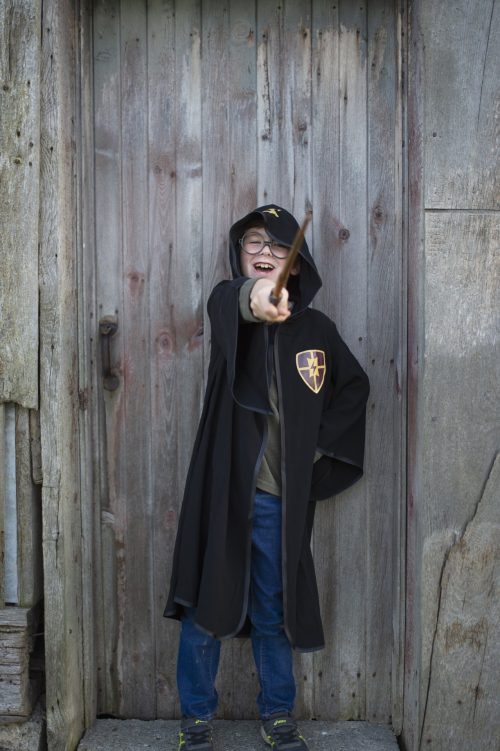 Tenue de magicien HARRY POTTER déguisement enfant magasin de jouet enfant déguisement enfant saint pierre ile de le Reunion 974 97410