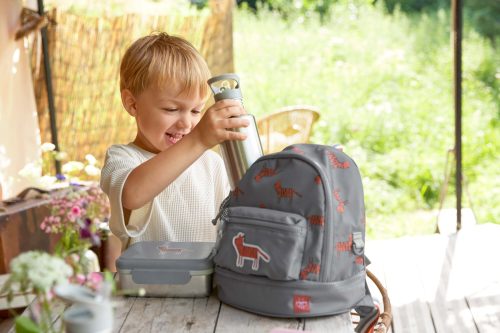 Boîte à gouter ou Lunch Box en inox pour enfant rentrée des classes magasin spécialisé enfant saint pierre reunion 974 livraison sur l'ile