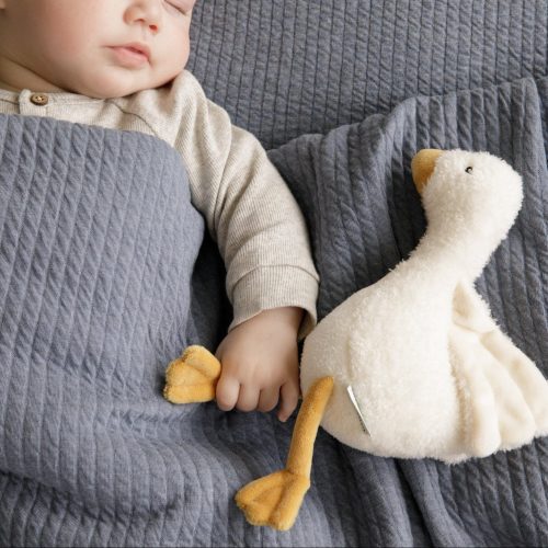 Petite peluche LITTLE GOOSE MARQUE LITTLE DUTCH Dès la naissance doudou magasin bébé et puériculture saint pierre livraison toute l'ile réunion 974