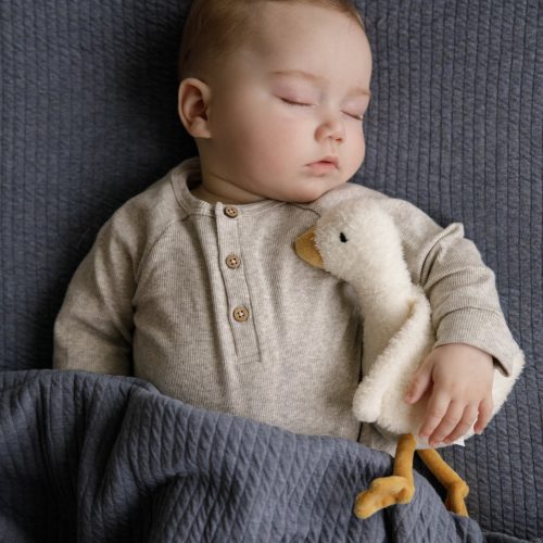 Petite peluche LITTLE GOOSE MARQUE LITTLE DUTCH Dès la naissance doudou magasin bébé et puériculture saint pierre livraison toute l'ile réunion 974