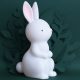 grande lampe veilleuse lapin pour enfant chambre enfant saint pierre reunion 974 livraison toute l'ile