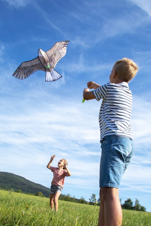 cerf volant terra kids activité d'extérieur revendeur officiel HABA magasin de jouets La Réunion 97400 saint-Pierre 97410