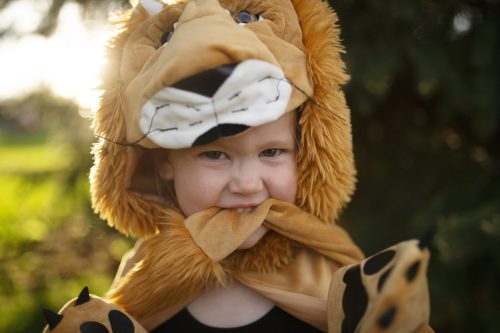 Cape enfant LION Déguisement enfant lavable en machine boutique jouets déguisement pour enfant saint pierre ILE DE LA REUNION livraison sur tout l'ile 974 fille garçon