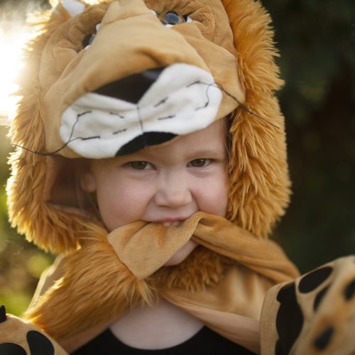 Cape enfant LION Déguisement enfant lavable en machine boutique jouets déguisement pour enfant saint pierre ILE DE LA REUNION livraison sur tout l'ile 974 fille garçon