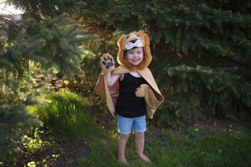 Cape enfant LION Déguisement enfant lavable en machine boutique jouets déguisement pour enfant saint pierre ILE DE LA REUNION livraison sur tout l'ile 974 fille garçon