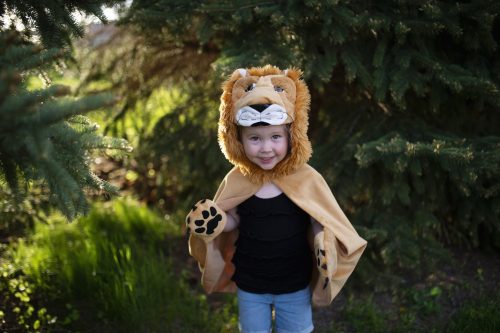 Cape enfant LION Déguisement enfant lavable en machine boutique jouets déguisement pour enfant saint pierre ILE DE LA REUNION livraison sur tout l'ile 974 fille garçon