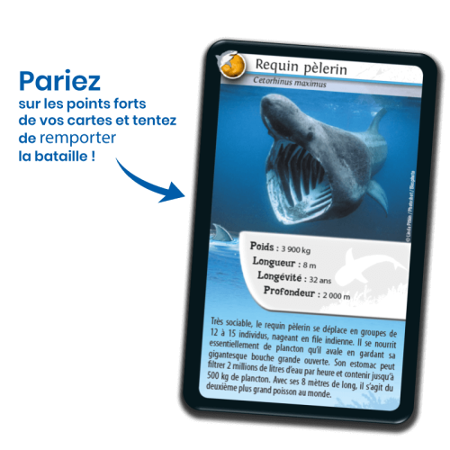 DEFIS NATURE requins jeu de carte jeu de société jeu écolo revendeur BIOVIVA magasin de jouet en bois st pierre 97410 La réunion 974 livraison