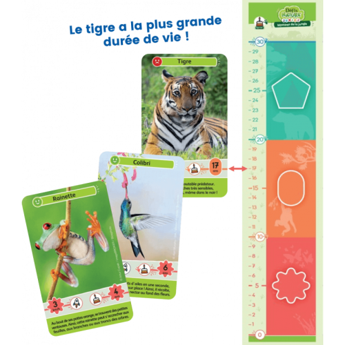 DEFIS NATURE JUNIOR Mystère de la jungle jeu de carte jeu de société jeu écolo revendeur BIOVIVA magasin de jouet en bois st pierre 97410 La réunion 974 livraison