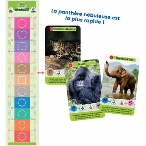 DEFIS NATURE JUNIOR Mystère de la jungle jeu de carte jeu de société jeu écolo revendeur BIOVIVA magasin de jouet en bois st pierre 97410 La réunion 974 livraison