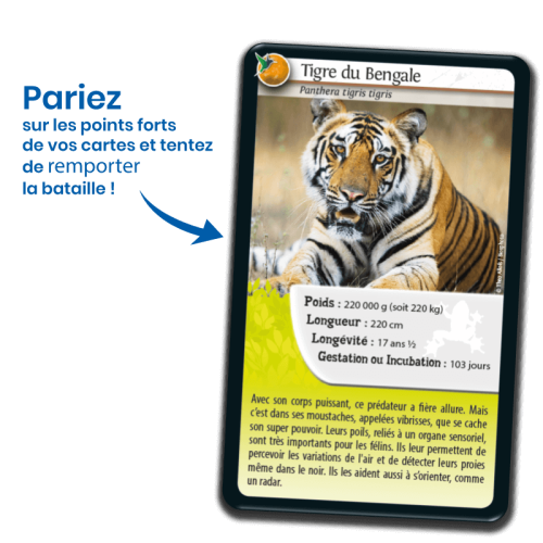 DEFIS NATURE super pouvoirs des animaux jeu de carte jeu de société jeu écolo revendeur BIOVIVA magasin de jouet en bois st pierre 97410 La réunion 974 livraison