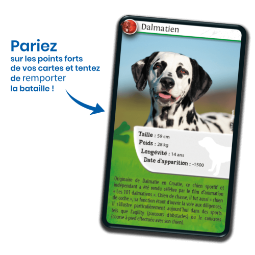 DEFIS NATURE CHIENS jeu de carte jeu de société jeu écolo revendeur BIOVIVA magasin de jouet en bois st pierre 97410 La réunion 974 livraison