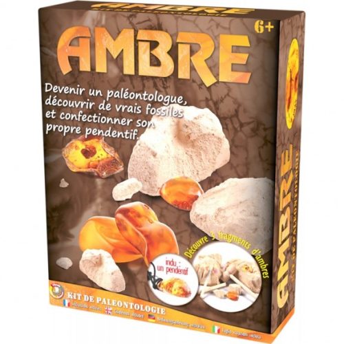 Kit de paléontologie paléo enfant ambre jeu sciences et découvertes magasin de jeu jouet à St Pierre 97410 La Réunion 974