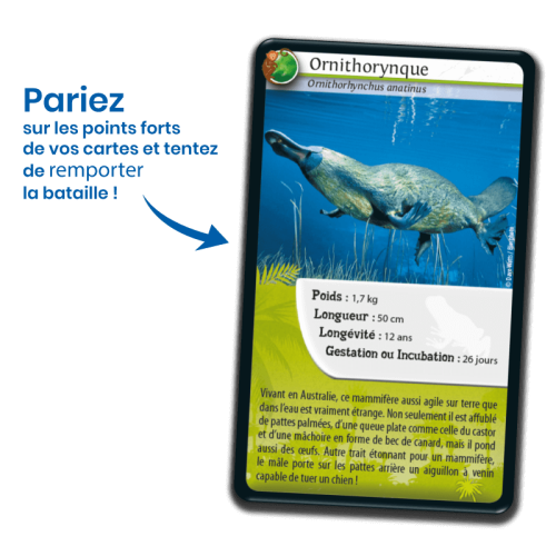 DEFIS NATURE Animaux extraordinaires jeu de carte jeu de société jeu écolo revendeur BIOVIVA magasin de jouet en bois st pierre 97410 La réunion 974 livraison