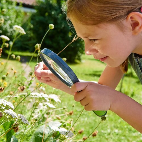 Loupe d'observation TERRA KIDS accessoire observation faune et la flore jeu HABA activité extérieur plein air magasin de jouets à st pierre 97410 livraison la reunion 974