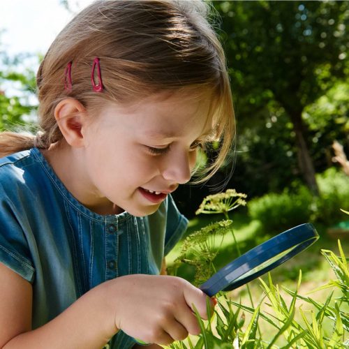 Loupe d'observation TERRA KIDS accessoire observation d élastique faune et la flore jeu HABA activité extérieur plein air magasin de jouets à st pierre 97410 livraison la reunion 974