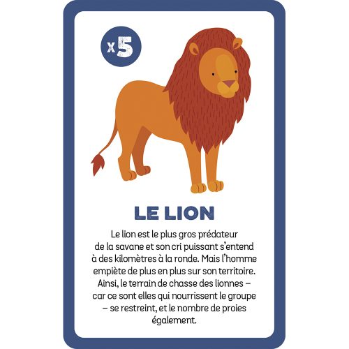 Jeu Cherche et Trouve LES ANIMAUX MENACÉS jeu éducatif revendeur officiel JANOD magasin de jouet en bois à st pierre 97410 livraison LA REUNION 974