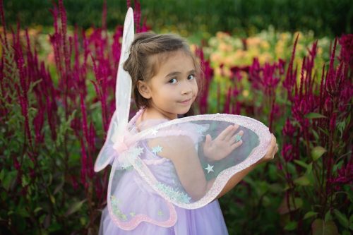 Ailes pailletées ÉTOILES FILANTES de fées déguisement pour enfant boutique de jouets saint pierre livraison sur toute la reunion 974