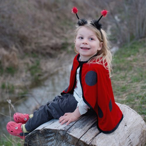 Cape enfant coccinelle LADYBUG Déguisement enfant lavable en machine boutique jouets déguisement pour enfant saint pierre ILE DE LA REUNION livraison sur tout l'ile 974 fille garçon