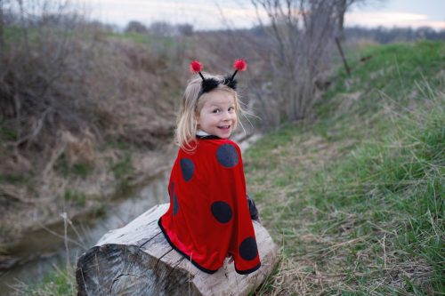 Cape enfant coccinelle LADYBUG Déguisement enfant lavable en machine boutique jouets déguisement pour enfant saint pierre ILE DE LA REUNION livraison sur tout l'ile 974 fille garçon