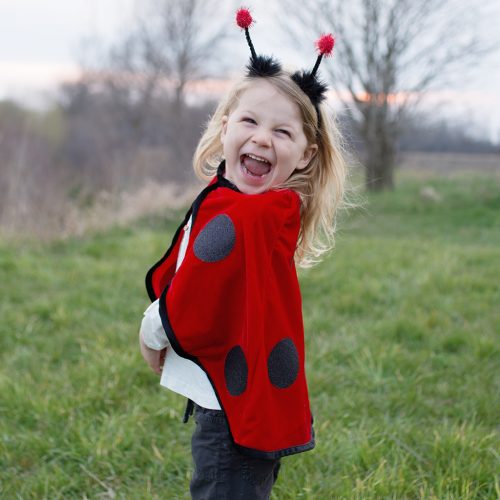 Cape enfant coccinelle LADYBUG Déguisement enfant lavable en machine boutique jouets déguisement pour enfant saint pierre ILE DE LA REUNION livraison sur tout l'ile 974 fille garçon