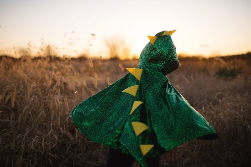 Cape enfant dragon Déguisement enfant lavable en machine boutique jouets déguisement pour enfant saint pierre ILE DE LA REUNION livraison sur tout l'ile 974 fille garçon