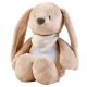 Veilleuse peluche musicale LAPIN brun clair sleep marque nattou magasin de puériculture à st pierre 97410 livraison LA REUNION 974