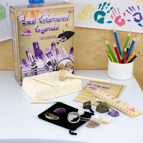 Kit géologie les cristaux Jeu de découverte science magasin de jouet original à st pierre 97410 livraison la réunion 974