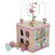 Cube d'activité en bois FAIRY GARDEN éveil bébé enfant revendeur LITTLE DUTCH magasin de jouet en bois à st pierre 97410 livraison REUNION 974