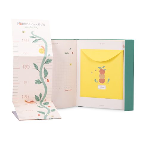 Livre de naissance revendeur officiel MOULIN ROTY à la Réunion 974 boutique jouets enfants saint pierre POMME DES BOIS