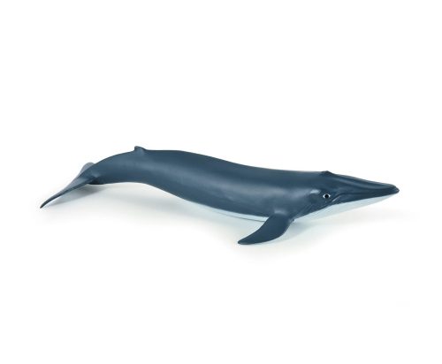 Figurines LES ANIMAUX MARINS revendeur officiel PAPO boutique de jouets pour enfants saint pierre reunion 974 livraison a domicile sur toute l'ile baleine